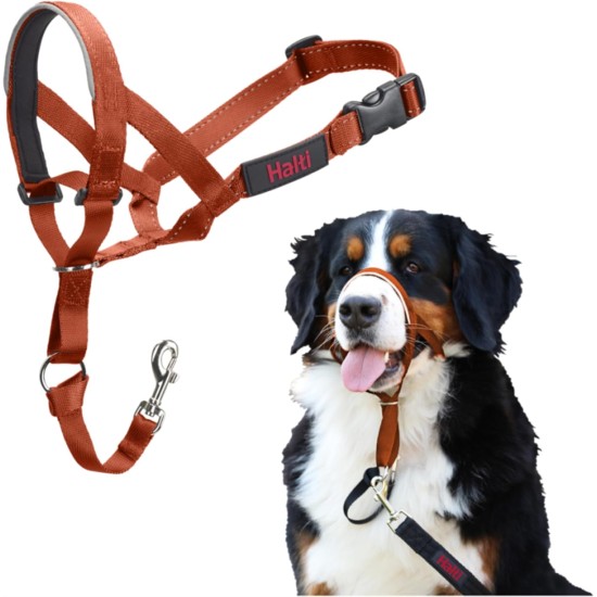 HALTI Head Harness - Prevents Your Dog from Pulling on the Lead, Easy Adjustment, Lightweight, with Padded Noseband, Anti-Pull Collar for Small Dogs (Size 1, Forest Green) HALTI Head Harness - Prevents Your Dog from Pulling on the Lead, Easy Adjustment, Lightweight, with Padded Noseband, Anti-Pull Collar for Small Dogs (Size 1, Forest Green)