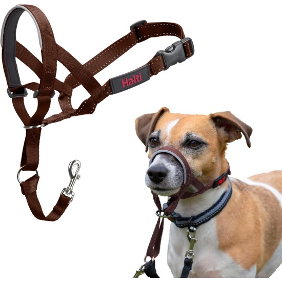 HALTI Head Harness - Prevents Your Dog from Pulling on the Lead, Easy Adjustment, Lightweight, with Padded Noseband, Anti-Pull Collar for Small Dogs (Size 1, Forest Green) HALTI Head Harness - Prevents Your Dog from Pulling on the Lead, Easy Adjustment, Lightweight, with Padded Noseband, Anti-Pull Collar for Small Dogs (Size 1, Forest Green)