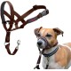 HALTI Head Harness - Prevents Your Dog from Pulling on the Lead, Easy Adjustment, Lightweight, with Padded Noseband, Anti-Pull Collar for Small Dogs (Size 1, Forest Green) HALTI Head Harness - Prevents Your Dog from Pulling on the Lead, Easy Adjustment, Lightweight, with Padded Noseband, Anti-Pull Collar for Small Dogs (Size 1, Forest Green)