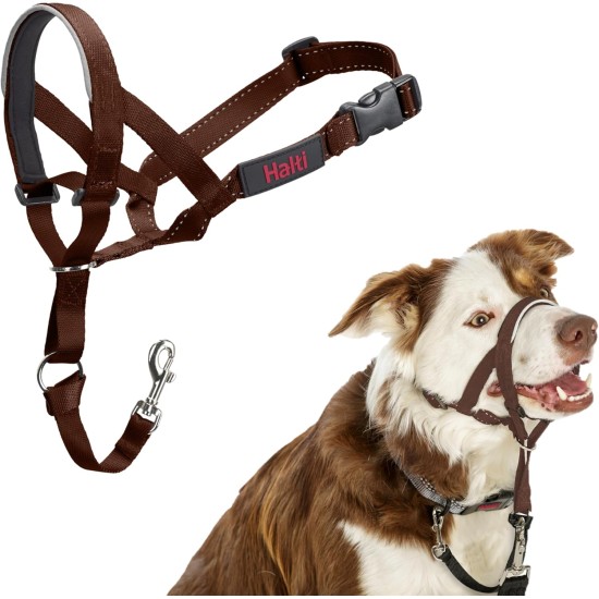 HALTI Head Harness - Prevents Your Dog from Pulling on the Lead, Easy Adjustment, Lightweight, with Padded Noseband, Anti-Pull Collar for Small Dogs (Size 1, Forest Green) HALTI Head Harness - Prevents Your Dog from Pulling on the Lead, Easy Adjustment, Lightweight, with Padded Noseband, Anti-Pull Collar for Small Dogs (Size 1, Forest Green)