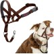 HALTI Head Harness - Prevents Your Dog from Pulling on the Lead, Easy Adjustment, Lightweight, with Padded Noseband, Anti-Pull Collar for Small Dogs (Size 1, Forest Green) HALTI Head Harness - Prevents Your Dog from Pulling on the Lead, Easy Adjustment, Lightweight, with Padded Noseband, Anti-Pull Collar for Small Dogs (Size 1, Forest Green)