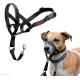 HALTI Head Harness - Prevents Your Dog from Pulling on the Lead, Easy Adjustment, Lightweight, with Padded Noseband, Anti-Pull Collar for Small Dogs (Size 1, Forest Green) HALTI Head Harness - Prevents Your Dog from Pulling on the Lead, Easy Adjustment, Lightweight, with Padded Noseband, Anti-Pull Collar for Small Dogs (Size 1, Forest Green)