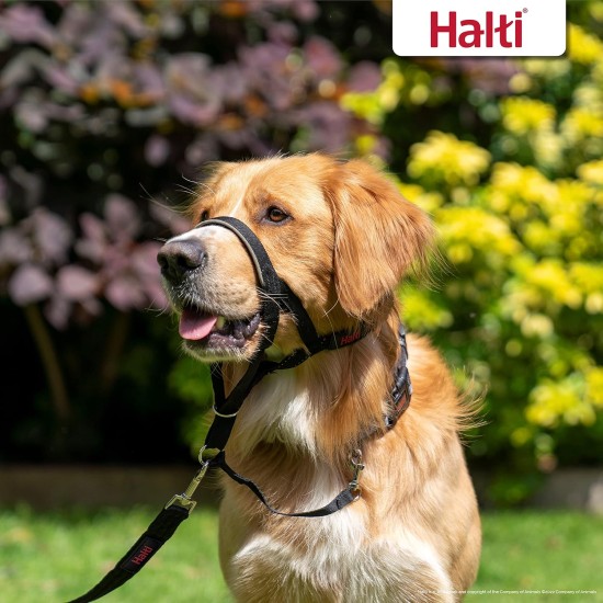 HALTI Head Harness - Prevents Your Dog from Pulling on the Lead, Easy Adjustment, Lightweight, with Padded Noseband, Anti-Pull Collar for Small Dogs (Size 1, Forest Green) HALTI Head Harness - Prevents Your Dog from Pulling on the Lead, Easy Adjustment, Lightweight, with Padded Noseband, Anti-Pull Collar for Small Dogs (Size 1, Forest Green)