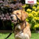 HALTI Head Harness - Prevents Your Dog from Pulling on the Lead, Easy Adjustment, Lightweight, with Padded Noseband, Anti-Pull Collar for Small Dogs (Size 1, Forest Green) HALTI Head Harness - Prevents Your Dog from Pulling on the Lead, Easy Adjustment, Lightweight, with Padded Noseband, Anti-Pull Collar for Small Dogs (Size 1, Forest Green)