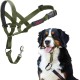 HALTI Head Harness - Prevents Your Dog from Pulling on the Lead, Easy Adjustment, Lightweight, with Padded Noseband, Anti-Pull Collar for Small Dogs (Size 1, Forest Green) HALTI Head Harness - Prevents Your Dog from Pulling on the Lead, Easy Adjustment, Lightweight, with Padded Noseband, Anti-Pull Collar for Small Dogs (Size 1, Forest Green)