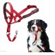 HALTI Head Harness - Prevents Your Dog from Pulling on the Lead, Easy Adjustment, Lightweight, with Padded Noseband, Anti-Pull Collar for Small Dogs (Size 1, Forest Green) HALTI Head Harness - Prevents Your Dog from Pulling on the Lead, Easy Adjustment, Lightweight, with Padded Noseband, Anti-Pull Collar for Small Dogs (Size 1, Forest Green)