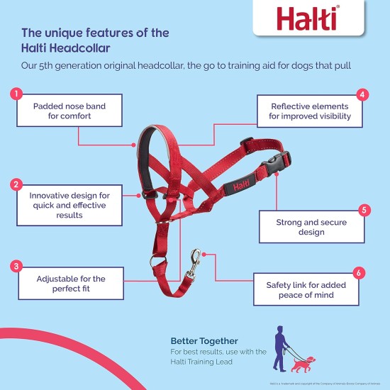 HALTI Head Harness - Prevents Your Dog from Pulling on the Lead, Easy Adjustment, Lightweight, with Padded Noseband, Anti-Pull Collar for Small Dogs (Size 1, Forest Green) HALTI Head Harness - Prevents Your Dog from Pulling on the Lead, Easy Adjustment, Lightweight, with Padded Noseband, Anti-Pull Collar for Small Dogs (Size 1, Forest Green)