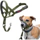 HALTI Head Harness - Prevents Your Dog from Pulling on the Lead, Easy Adjustment, Lightweight, with Padded Noseband, Anti-Pull Collar for Small Dogs (Size 1, Forest Green) HALTI Head Harness - Prevents Your Dog from Pulling on the Lead, Easy Adjustment, Lightweight, with Padded Noseband, Anti-Pull Collar for Small Dogs (Size 1, Forest Green)