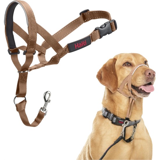 HALTI Head Harness - Prevents Your Dog from Pulling on the Lead, Easy Adjustment, Lightweight, with Padded Noseband, Anti-Pull Collar for Small Dogs (Size 1, Forest Green) HALTI Head Harness - Prevents Your Dog from Pulling on the Lead, Easy Adjustment, Lightweight, with Padded Noseband, Anti-Pull Collar for Small Dogs (Size 1, Forest Green)