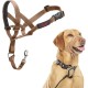 HALTI Head Harness - Prevents Your Dog from Pulling on the Lead, Easy Adjustment, Lightweight, with Padded Noseband, Anti-Pull Collar for Small Dogs (Size 1, Forest Green) HALTI Head Harness - Prevents Your Dog from Pulling on the Lead, Easy Adjustment, Lightweight, with Padded Noseband, Anti-Pull Collar for Small Dogs (Size 1, Forest Green)
