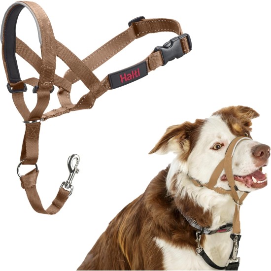 HALTI Head Harness - Prevents Your Dog from Pulling on the Lead, Easy Adjustment, Lightweight, with Padded Noseband, Anti-Pull Collar for Small Dogs (Size 1, Forest Green) HALTI Head Harness - Prevents Your Dog from Pulling on the Lead, Easy Adjustment, Lightweight, with Padded Noseband, Anti-Pull Collar for Small Dogs (Size 1, Forest Green)