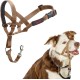 HALTI Head Harness - Prevents Your Dog from Pulling on the Lead, Easy Adjustment, Lightweight, with Padded Noseband, Anti-Pull Collar for Small Dogs (Size 1, Forest Green) HALTI Head Harness - Prevents Your Dog from Pulling on the Lead, Easy Adjustment, Lightweight, with Padded Noseband, Anti-Pull Collar for Small Dogs (Size 1, Forest Green)