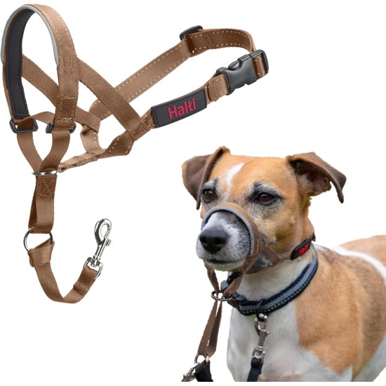 HALTI Head Harness - Prevents Your Dog from Pulling on the Lead, Easy Adjustment, Lightweight, with Padded Noseband, Anti-Pull Collar for Small Dogs (Size 1, Forest Green) HALTI Head Harness - Prevents Your Dog from Pulling on the Lead, Easy Adjustment, Lightweight, with Padded Noseband, Anti-Pull Collar for Small Dogs (Size 1, Forest Green)