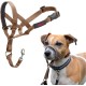 HALTI Head Harness - Prevents Your Dog from Pulling on the Lead, Easy Adjustment, Lightweight, with Padded Noseband, Anti-Pull Collar for Small Dogs (Size 1, Forest Green) HALTI Head Harness - Prevents Your Dog from Pulling on the Lead, Easy Adjustment, Lightweight, with Padded Noseband, Anti-Pull Collar for Small Dogs (Size 1, Forest Green)
