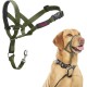 HALTI Head Harness - Prevents Your Dog from Pulling on the Lead, Easy Adjustment, Lightweight, with Padded Noseband, Anti-Pull Collar for Small Dogs (Size 1, Forest Green) HALTI Head Harness - Prevents Your Dog from Pulling on the Lead, Easy Adjustment, Lightweight, with Padded Noseband, Anti-Pull Collar for Small Dogs (Size 1, Forest Green)