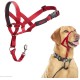 HALTI Head Harness - Prevents Your Dog from Pulling on the Lead, Easy Adjustment, Lightweight, with Padded Noseband, Anti-Pull Collar for Small Dogs (Size 1, Forest Green) HALTI Head Harness - Prevents Your Dog from Pulling on the Lead, Easy Adjustment, Lightweight, with Padded Noseband, Anti-Pull Collar for Small Dogs (Size 1, Forest Green)