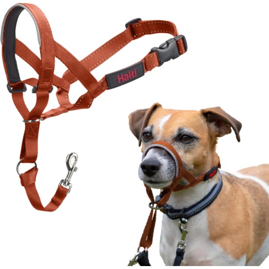 HALTI Head Harness - Prevents Your Dog from Pulling on the Lead, Easy Adjustment, Lightweight, with Padded Noseband, Anti-Pull Collar for Small Dogs (Size 1, Forest Green) HALTI Head Harness - Prevents Your Dog from Pulling on the Lead, Easy Adjustment, Lightweight, with Padded Noseband, Anti-Pull Collar for Small Dogs (Size 1, Forest Green)