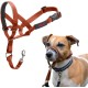 HALTI Head Harness - Prevents Your Dog from Pulling on the Lead, Easy Adjustment, Lightweight, with Padded Noseband, Anti-Pull Collar for Small Dogs (Size 1, Forest Green) HALTI Head Harness - Prevents Your Dog from Pulling on the Lead, Easy Adjustment, Lightweight, with Padded Noseband, Anti-Pull Collar for Small Dogs (Size 1, Forest Green)