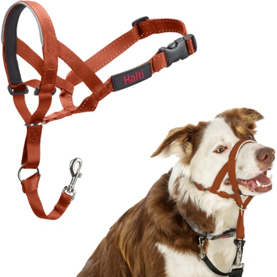 HALTI Head Harness - Prevents Your Dog from Pulling on the Lead, Easy Adjustment, Lightweight, with Padded Noseband, Anti-Pull Collar for Small Dogs (Size 1, Forest Green) HALTI Head Harness - Prevents Your Dog from Pulling on the Lead, Easy Adjustment, Lightweight, with Padded Noseband, Anti-Pull Collar for Small Dogs (Size 1, Forest Green)