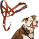 HALTI Head Harness - Prevents Your Dog from Pulling on the Lead, Easy Adjustment, Lightweight, with Padded Noseband, Anti-Pull Collar for Small Dogs (Size 1, Forest Green) HALTI Head Harness - Prevents Your Dog from Pulling on the Lead, Easy Adjustment, Lightweight, with Padded Noseband, Anti-Pull Collar for Small Dogs (Size 1, Forest Green)