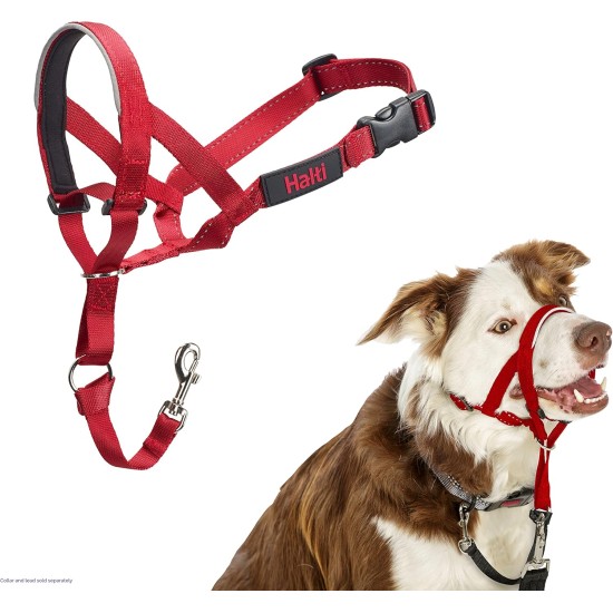 HALTI Head Harness - Prevents Your Dog from Pulling on the Lead, Easy Adjustment, Lightweight, with Padded Noseband, Anti-Pull Collar for Small Dogs (Size 1, Forest Green) HALTI Head Harness - Prevents Your Dog from Pulling on the Lead, Easy Adjustment, Lightweight, with Padded Noseband, Anti-Pull Collar for Small Dogs (Size 1, Forest Green)