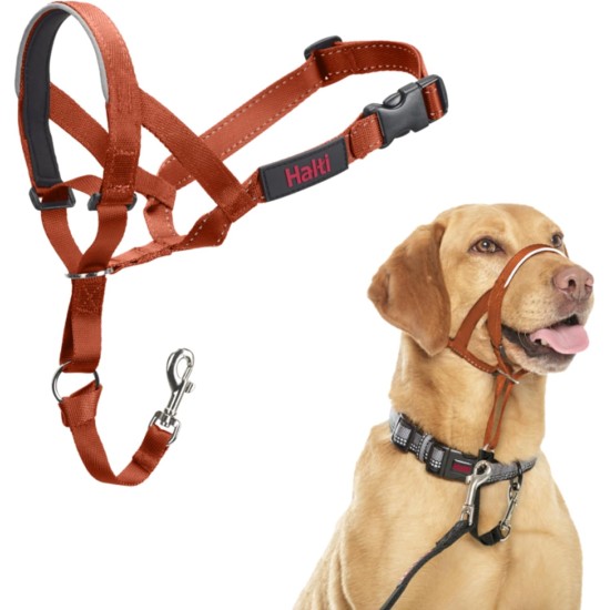HALTI Head Harness - Prevents Your Dog from Pulling on the Lead, Easy Adjustment, Lightweight, with Padded Noseband, Anti-Pull Collar for Small Dogs (Size 1, Forest Green) HALTI Head Harness - Prevents Your Dog from Pulling on the Lead, Easy Adjustment, Lightweight, with Padded Noseband, Anti-Pull Collar for Small Dogs (Size 1, Forest Green)