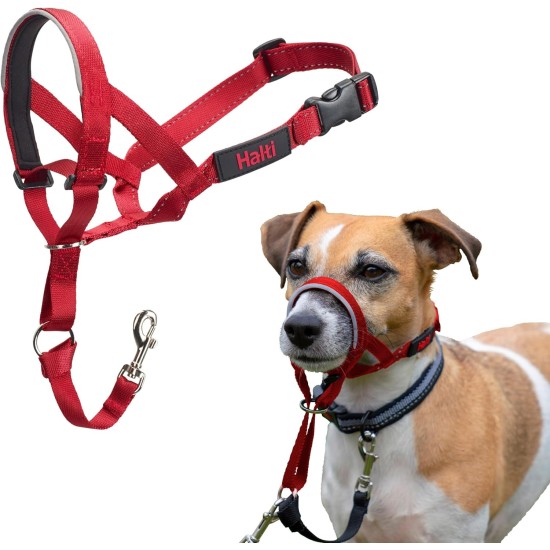 HALTI Head Harness - Prevents Your Dog from Pulling on the Lead, Easy Adjustment, Lightweight, with Padded Noseband, Anti-Pull Collar for Small Dogs (Size 1, Forest Green) HALTI Head Harness - Prevents Your Dog from Pulling on the Lead, Easy Adjustment, Lightweight, with Padded Noseband, Anti-Pull Collar for Small Dogs (Size 1, Forest Green)