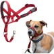 HALTI Head Harness - Prevents Your Dog from Pulling on the Lead, Easy Adjustment, Lightweight, with Padded Noseband, Anti-Pull Collar for Small Dogs (Size 1, Forest Green) HALTI Head Harness - Prevents Your Dog from Pulling on the Lead, Easy Adjustment, Lightweight, with Padded Noseband, Anti-Pull Collar for Small Dogs (Size 1, Forest Green)