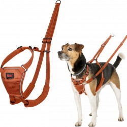 HALTI No Pull Anti-Pull Harness - Prevents Your Dog from Pulling on the Lead, Padded Chest and Leg Strap, Reflective Strap Material, Easy Adjustment and Use (S, Dark Orange)