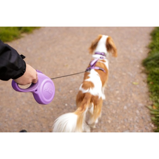 HALTI Retractable Dog Lead with Reflective Fabric, Ergonomic Soft Gel Handle and Patented Single Step Lock. Suitable for Medium Dogs (Medium, Black) HALTI Retractable Dog Lead with Reflective Fabric, Ergonomic Soft Gel Handle and Patented Single Step Lock. Suitable for Medium Dogs (Medium, Black)