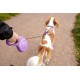HALTI Retractable Dog Lead with Reflective Fabric, Ergonomic Soft Gel Handle and Patented Single Step Lock. Suitable for Medium Dogs (Medium, Black) HALTI Retractable Dog Lead with Reflective Fabric, Ergonomic Soft Gel Handle and Patented Single Step Lock. Suitable for Medium Dogs (Medium, Black)