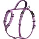 HALTI Walking Dog Harness - With Soft Neoprene Lined Handle, 5 Adjustable Straps and 3M Reflective Fabric.Suitable for Medium Dogs (Medium, Purple) HALTI Walking Dog Harness - With Soft Neoprene Lined Handle, 5 Adjustable Straps and 3M Reflective Fabric.Suitable for Medium Dogs (Medium, Purple)