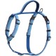 HALTI Walking Dog Harness - With Soft Neoprene Lined Handle, 5 Adjustable Straps and 3M Reflective Fabric.Suitable for Medium Dogs (Medium, Purple) HALTI Walking Dog Harness - With Soft Neoprene Lined Handle, 5 Adjustable Straps and 3M Reflective Fabric.Suitable for Medium Dogs (Medium, Purple)