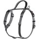HALTI Walking Dog Harness - With Soft Neoprene Lined Handle, 5 Adjustable Straps and 3M Reflective Fabric.Suitable for Medium Dogs (Medium, Purple) HALTI Walking Dog Harness - With Soft Neoprene Lined Handle, 5 Adjustable Straps and 3M Reflective Fabric.Suitable for Medium Dogs (Medium, Purple)