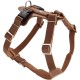HUNTER Aalborg Harness M-L/2, Dark Brown HUNTER Aalborg Harness M-L/2, Dark Brown