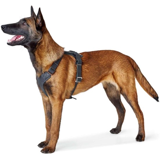 HUNTER Aalborg Harness M-L/2, Dark Brown HUNTER Aalborg Harness M-L/2, Dark Brown