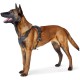 HUNTER Aalborg Harness M-L/2, Dark Brown