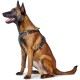 HUNTER Aalborg Harness M-L/2, Dark Brown