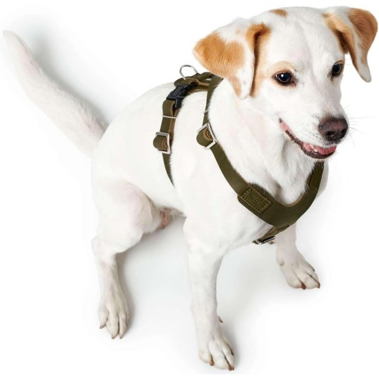 HUNTER Aalborg Harness M-L/2, Dark Brown HUNTER Aalborg Harness M-L/2, Dark Brown