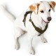 HUNTER Aalborg Harness M-L/2, Dark Brown HUNTER Aalborg Harness M-L/2, Dark Brown