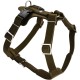 HUNTER Aalborg Harness M-L/2, Dark Brown