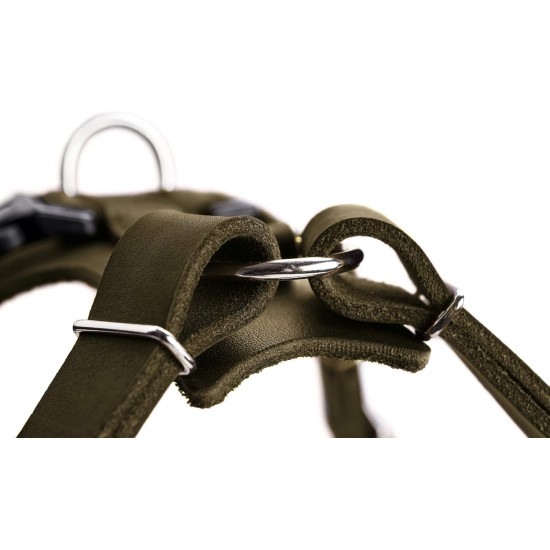 HUNTER Aalborg Harness M-L/2, Dark Brown HUNTER Aalborg Harness M-L/2, Dark Brown