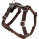 HUNTER Aalborg Harness M-L/2, Dark Brown HUNTER Aalborg Harness M-L/2, Dark Brown
