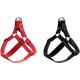 HUNTER Ecco Sport Harness, Medium, Black HUNTER Ecco Sport Harness, Medium, Black
