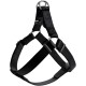 HUNTER Ecco Sport Harness, Medium, Black HUNTER Ecco Sport Harness, Medium, Black
