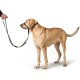 HUNTER Follow Me Education Nylon Harness, Size 3, Large, Black
