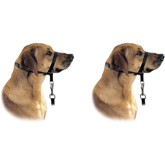 HUNTER Follow Me Education Nylon Harness, Size 3, Large, Black HUNTER Follow Me Education Nylon Harness, Size 3, Large, Black