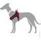 HUNTER Neoprene Vario Quick Dog Harness Nylon Soft Neoprene Padded for Sports and Leisure, s