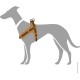 HUNTER Neoprene Vario Quick Dog Harness Nylon Soft Neoprene Padded for Sports and Leisure, s