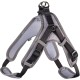 HUNTER Neoprene Vario Quick Dog Harness Nylon Soft Neoprene Padded for Sports and Leisure, s